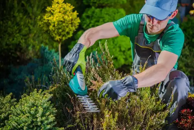 landscaping services Joplin
